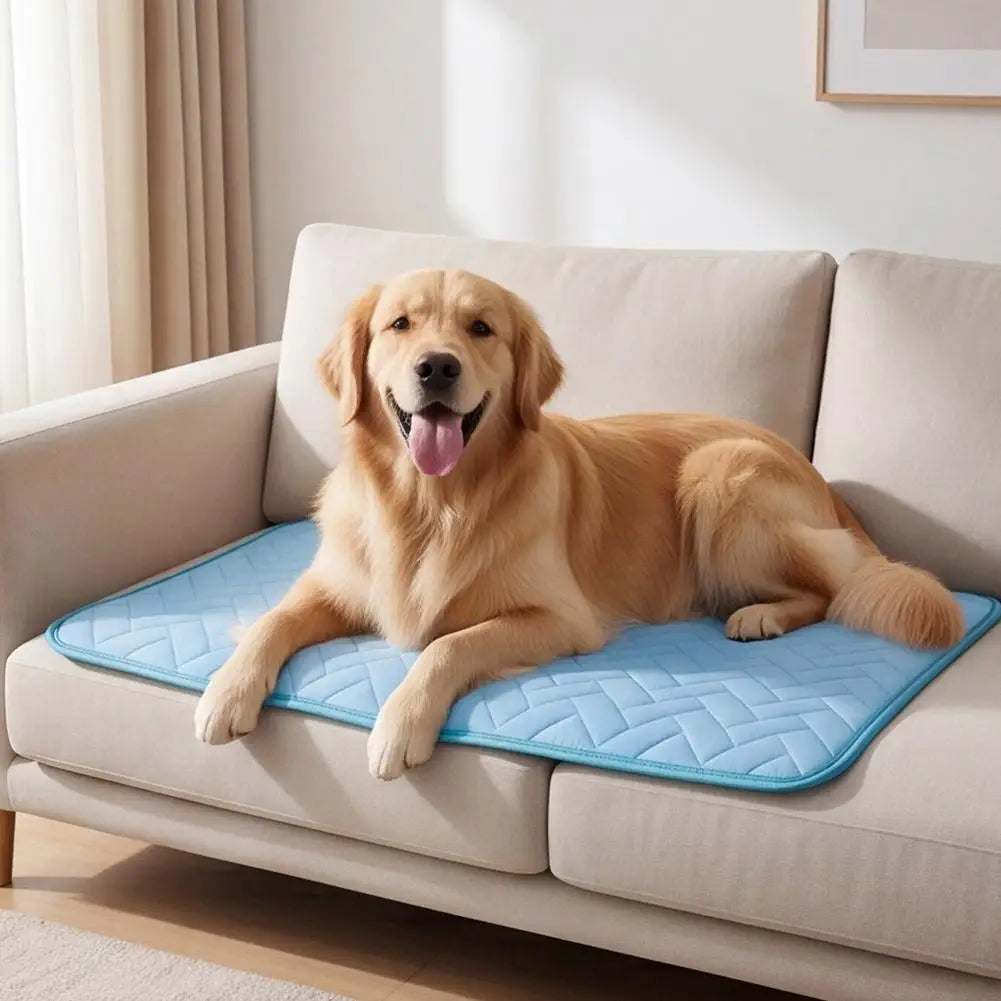 Anmiara - CoolRest Mat